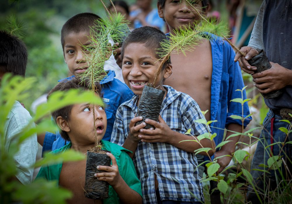 Children planting saplings together
